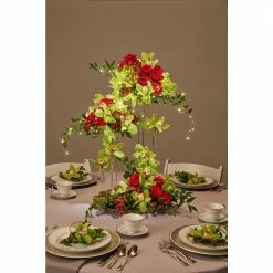 Oasis 6 in. Clear Designer Dish (Case of 24) -Southwest Boulder Online Shop oasis planter accessories 1400 c3 1000