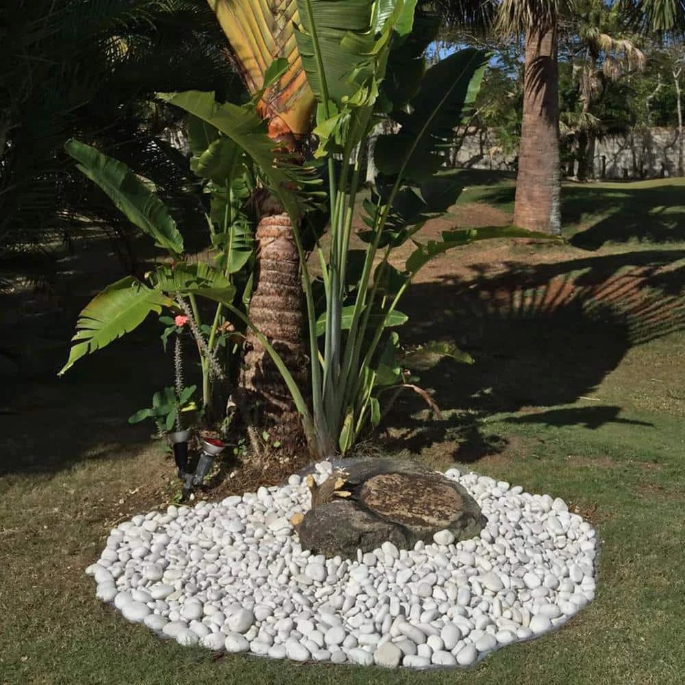 Rain Forest 0.25 cu. ft., 2 in. to 5 in. 20 lbs. Caribbean Beach Pebbles 2 Rain Forest 0.25 cu. ft., 2 in. to 5 in. 20 lbs. Caribbean Beach Pebbles - Image 2
