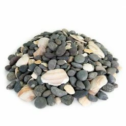 Southwest Boulder & Stone 0.25 cu. ft. 5/8 in. to 7/8 in. San Quintin Mexican Beach Pebble Smooth Round Rock for Gardens, Landscapes and Ponds