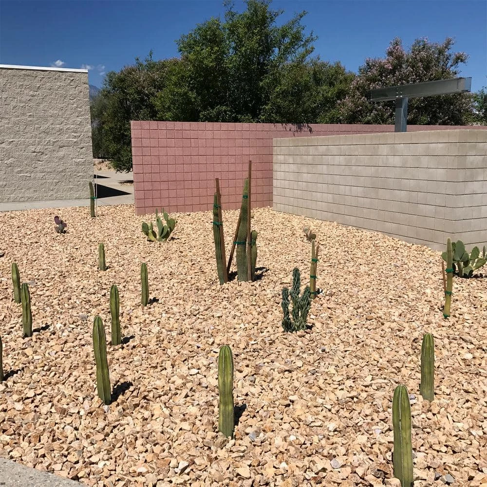Southwest Boulder & Stone 0.25 cu. ft. 3/8 in. California Gold Bagged Landscape Rock and Pebble for Gardening, Landscaping, Driveways and Walkway 3 Southwest Boulder & Stone 0.25 cu. ft. 3/8 in. California Gold Bagged Landscape Rock and Pebble for Gardening, Landscaping, Driveways and Walkway - Image 3