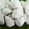 Southwest Boulder & Stone 0.25 cu. ft. 1/2 in. to 1 in. 20 lbs. Porcelain White Rock Pebbles for Potted Plants, Gardening and Succulents