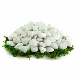 Southwest Boulder & Stone 0.25 cu. ft. 1/2 in. to 1 in. 20 lbs. Porcelain White Rock Pebbles for Potted Plants, Gardening and Succulents 9 Southwest Boulder & Stone 0.25 cu. ft. 1/2 in. to 1 in. 20 lbs. Porcelain White Rock Pebbles for Potted Plants, Gardening and Succulents -Southwest Boulder Online Shop southwest boulder stone bagged landscape rocks 02 0233 77 1000