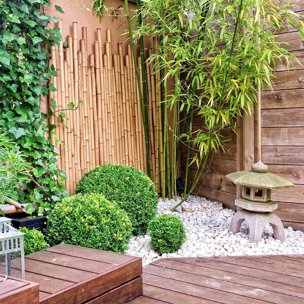 Southwest Boulder & Stone 0.25 cu. ft. 1/2 in. to 1 in. 20 lbs. Porcelain White Rock Pebbles for Potted Plants, Gardening and Succulents 7 Southwest Boulder & Stone 0.25 cu. ft. 1/2 in. to 1 in. 20 lbs. Porcelain White Rock Pebbles for Potted Plants, Gardening and Succulents - Image 7