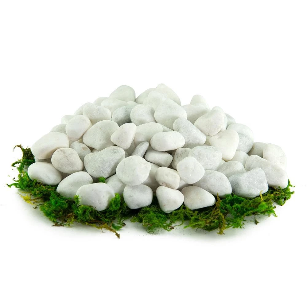 Southwest Boulder & Stone 0.25 cu. ft. 2 in. to 3 in. Porcelain White Rock Pebbles for Potted Plants, Gardening and Succulents 5 Southwest Boulder & Stone 0.25 cu. ft. 2 in. to 3 in. Porcelain White Rock Pebbles for Potted Plants, Gardening and Succulents - Image 5