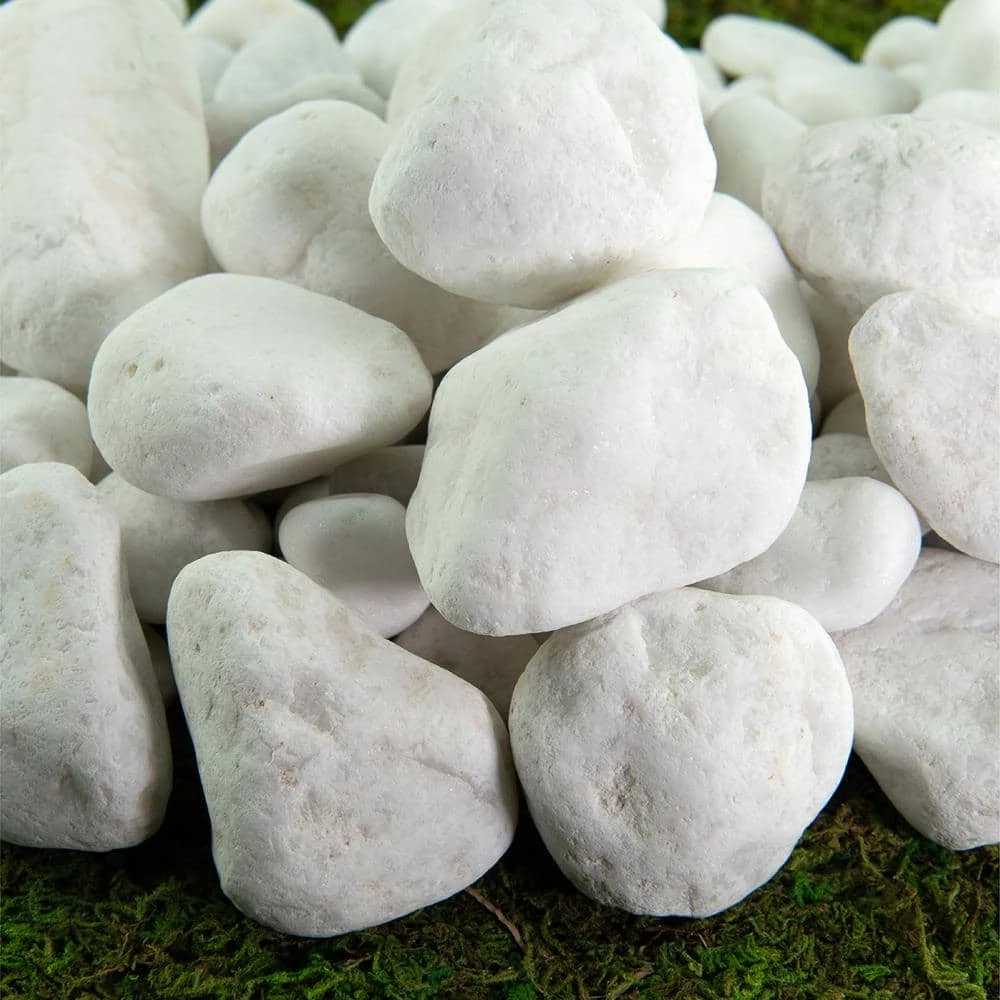 Southwest Boulder & Stone 0.25 cu. ft. 2 in. to 3 in. Porcelain White Rock Pebbles for Potted Plants, Gardening and Succulents 1 Southwest Boulder & Stone 0.25 cu. ft. 2 in. to 3 in. Porcelain White Rock Pebbles for Potted Plants, Gardening and Succulents