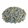 Southwest Boulder & Stone 0.25 cu. ft. 1/2 in. to 1 in. Mixed Buttons Mexican Beach Pebble Smooth Round Rock for Garden and Landscape Design