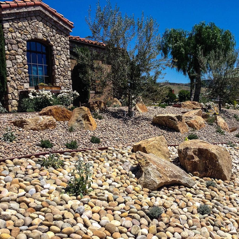 Southwest Boulder & Stone 0.50 cu. ft. 1 in. to 2 in. Buff Mexican Beach Pebble Smooth Round Rock for Gardens, Landscapes and Ponds 2 Southwest Boulder & Stone 0.50 cu. ft. 1 in. to 2 in. Buff Mexican Beach Pebble Smooth Round Rock for Gardens, Landscapes and Ponds - Image 2