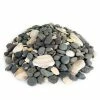 Southwest Boulder & Stone 0.50 cu. ft. 5/8 in. to 7/8 in. San Quintin Mexican Beach Pebble Smooth Round Rock for Gardens, Landscapes and Ponds