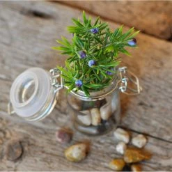 Southwest Boulder & Stone 0.125 cu. ft. 3/8 in. - 5/8 in. 10 lbs. Black Small Polished Rock Pebbles for Planters, Gardens, Aquariums and More -Southwest Boulder Online Shop southwest boulder stone bagged landscape rocks 02 0313 4f 1000