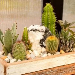 Southwest Boulder & Stone 0.125 cu. ft. 3/8 in. - 5/8 in. 10 lbs. Mixed Small Polished Rock Pebbles for Planters, Gardens, Aquariums and More -Southwest Boulder Online Shop southwest boulder stone bagged landscape rocks 02 0316 c3 1000