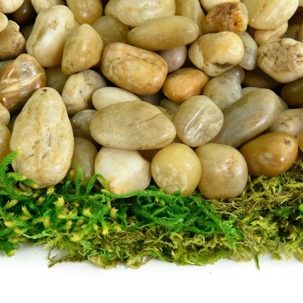 Southwest Boulder & Stone 0.125 cu. ft. 3/8 in. - 5/8 in. 10 lbs. Yellow Small Polished Rock Pebbles for Planters, Gardens, Aquariums and More 2 Southwest Boulder & Stone 0.125 cu. ft. 3/8 in. - 5/8 in. 10 lbs. Yellow Small Polished Rock Pebbles for Planters, Gardens, Aquariums and More - Image 2