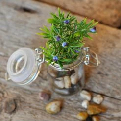 Southwest Boulder & Stone 0.125 cu. ft. 3/8 in. - 5/8 in. 10 lbs. White Small Polished Rock Pebbles for Planters, Gardens, Aquariums and More -Southwest Boulder Online Shop southwest boulder stone bagged landscape rocks 02 0318 4f 1000