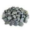Southwest Boulder & Stone 0.25 cu. ft. 2 in. to 3 in. Black Mexican Beach Pebble Smooth Round Rock for Gardens, Landscapes and Ponds
