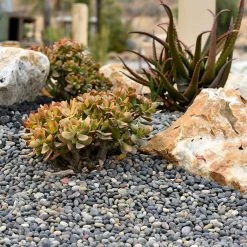 Southwest Boulder & Stone .25 cu. ft. 2 in. to 3 in. Mixed Mexican Beach Pebbles Smooth Round Rock for Gardens, Landscapes and Ponds -Southwest Boulder Online Shop southwest boulder stone bagged landscape rocks 20mpbm23 40 1000