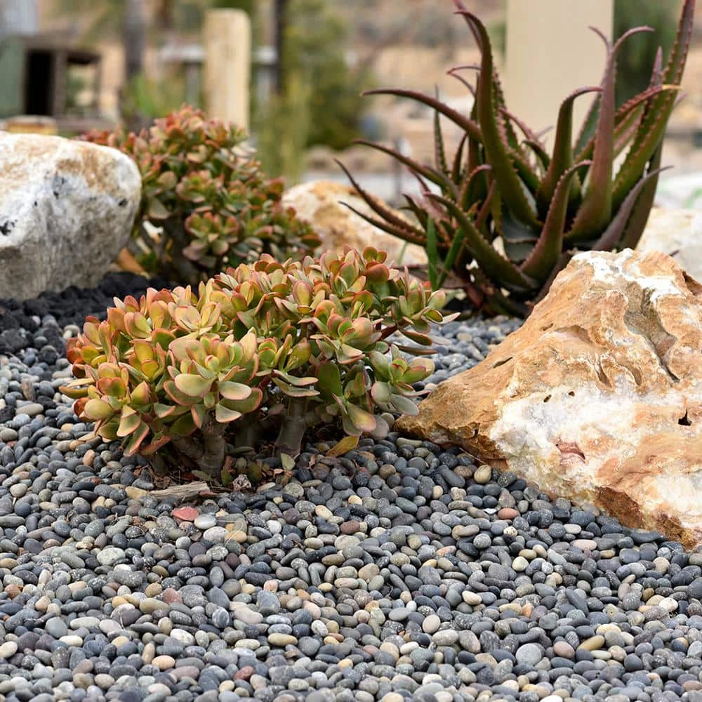 Southwest Boulder & Stone 0.25 cu. ft. 3 in. to 5 in. Mixed Mexican Beach Pebble Smooth Round Rock for Gardens, Landscapes, and Ponds 2 Southwest Boulder & Stone 0.25 cu. ft. 3 in. to 5 in. Mixed Mexican Beach Pebble Smooth Round Rock for Gardens, Landscapes, and Ponds - Image 2