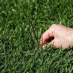 Southwest Boulder & Stone 6 in. Heavy Duty Steel Garden Staples for Weed Barrier Landscape Fabric, Irrigation Lines, and Sod (100-Pack) -Southwest Boulder Online Shop southwest boulder stone tomato cages 02 0168 4f 1000